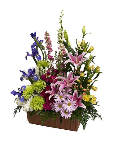 English Gardens Window box